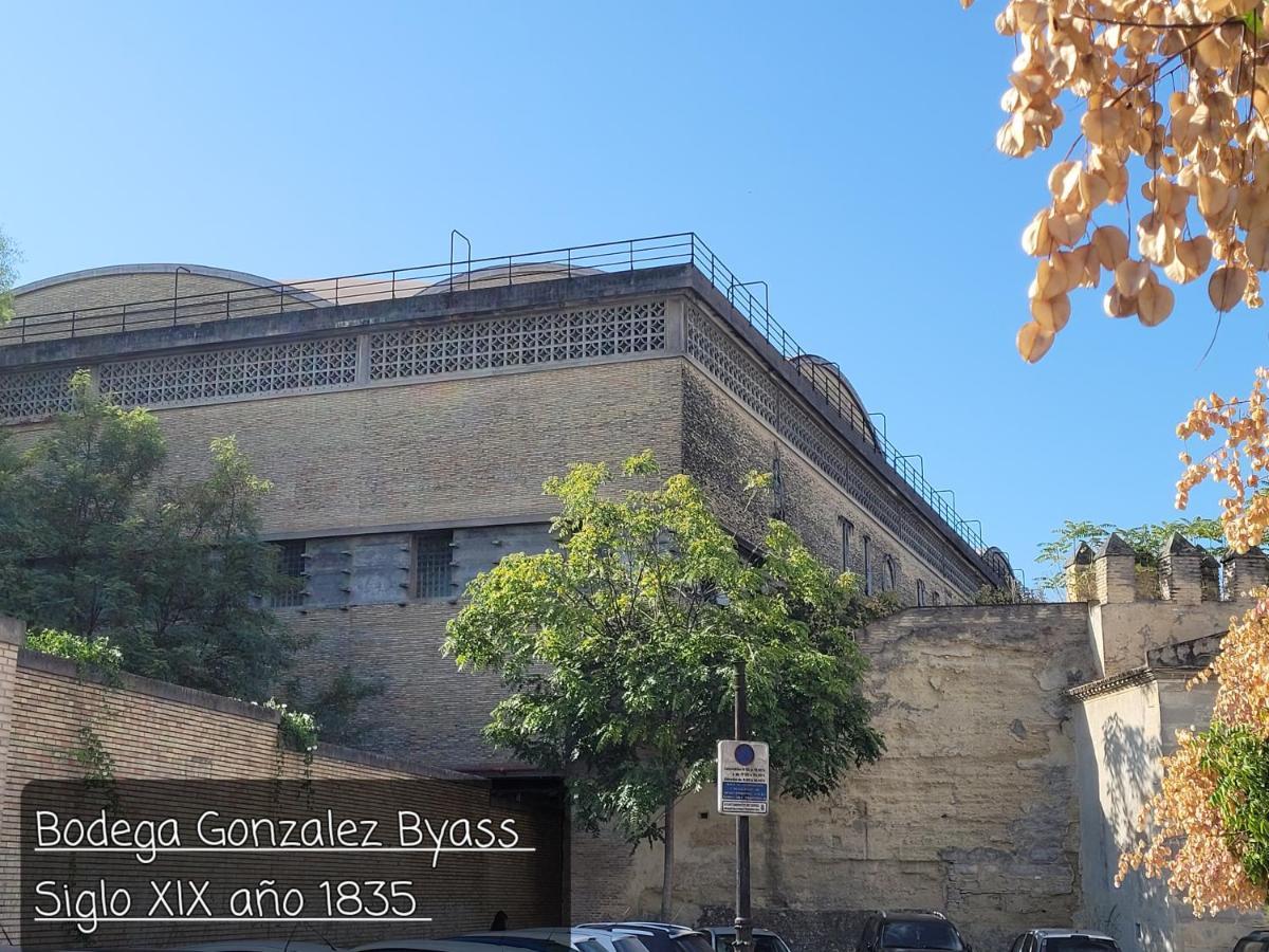 Jerez Centro Historico Lägenhet Jerez de la Frontera Exteriör bild