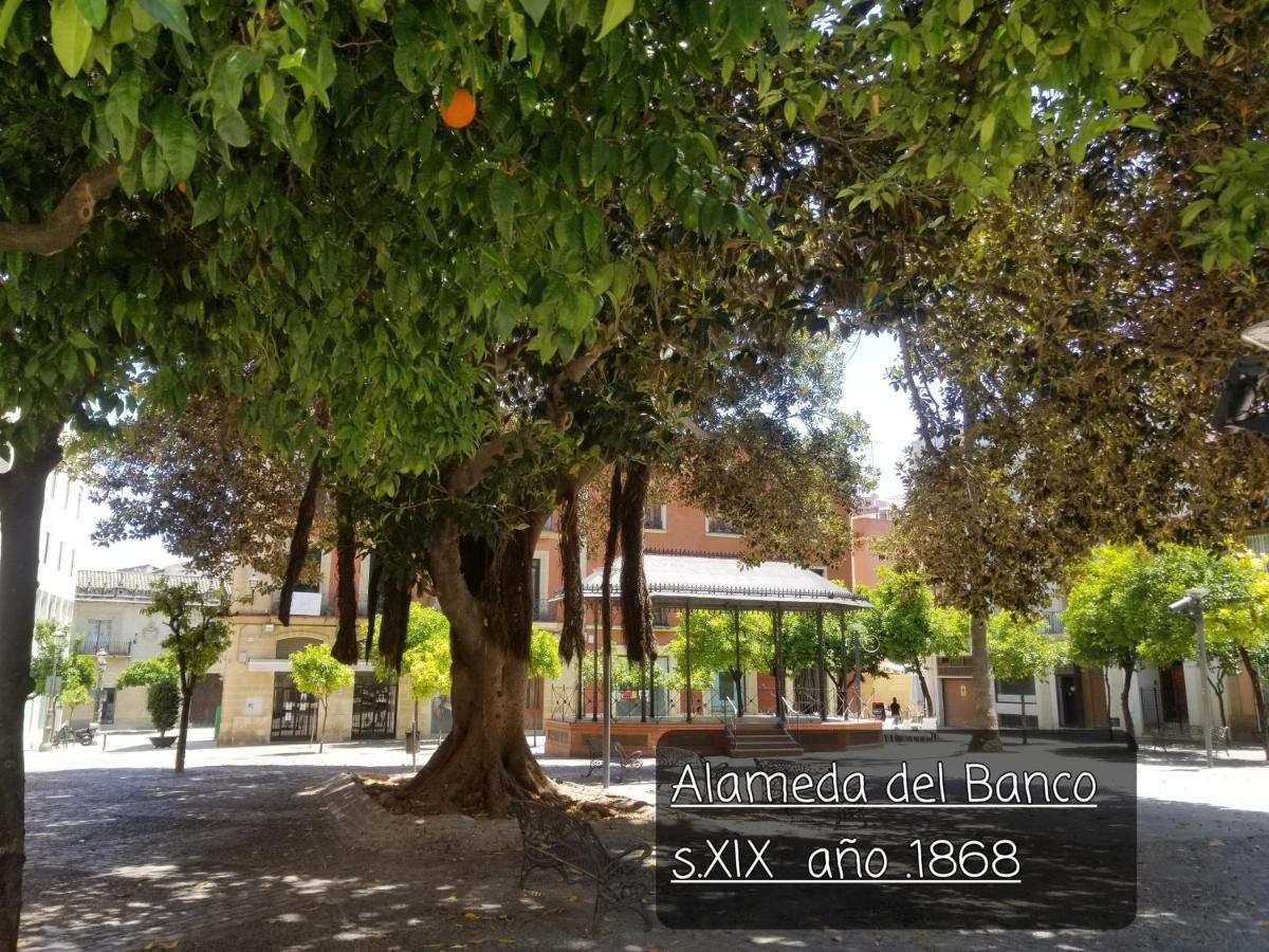Jerez Centro Historico Lägenhet Jerez de la Frontera Exteriör bild